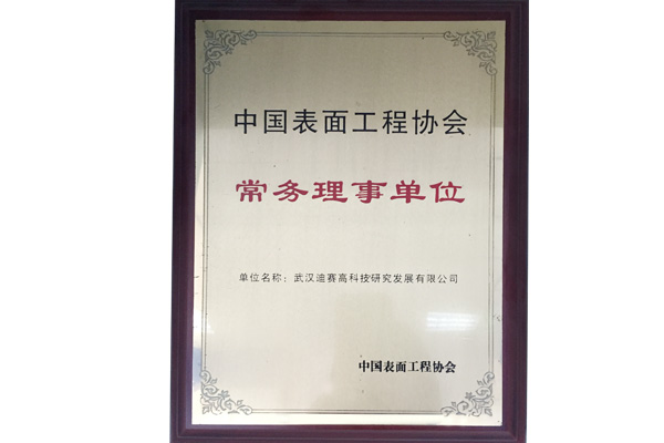 中國表面工程協(xié)會常務(wù)理事單位